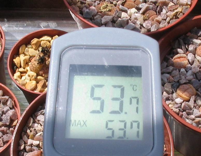 thermometer5.jpg