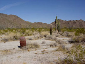 Sonoran Destert Western Arizona