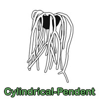 Cylindrical-Pendent