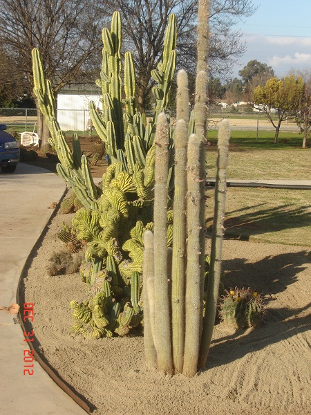 I put in a edging to keep the sand and rock in, easier to clean