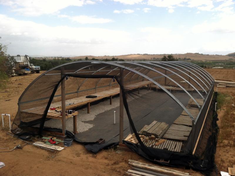 CCN Greenhouse #3