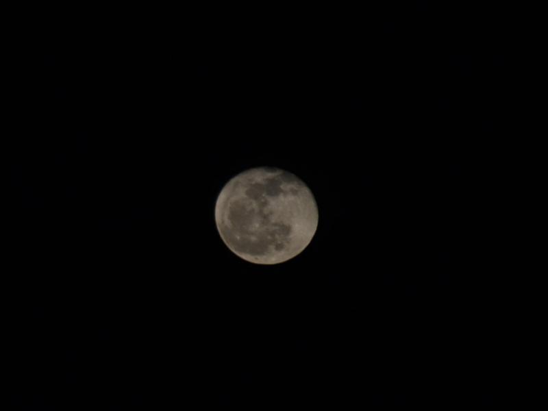 Luna 16.02.2014.JPG