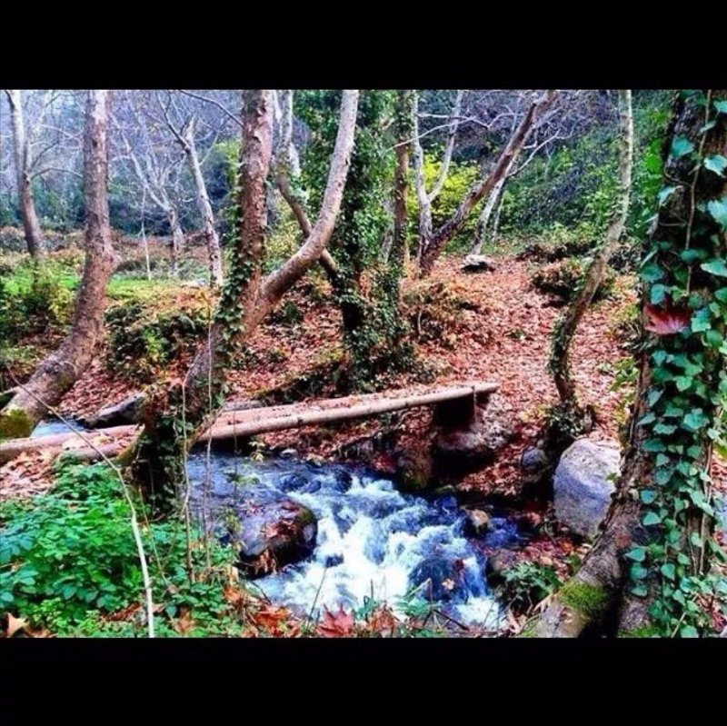 Kadisha valley