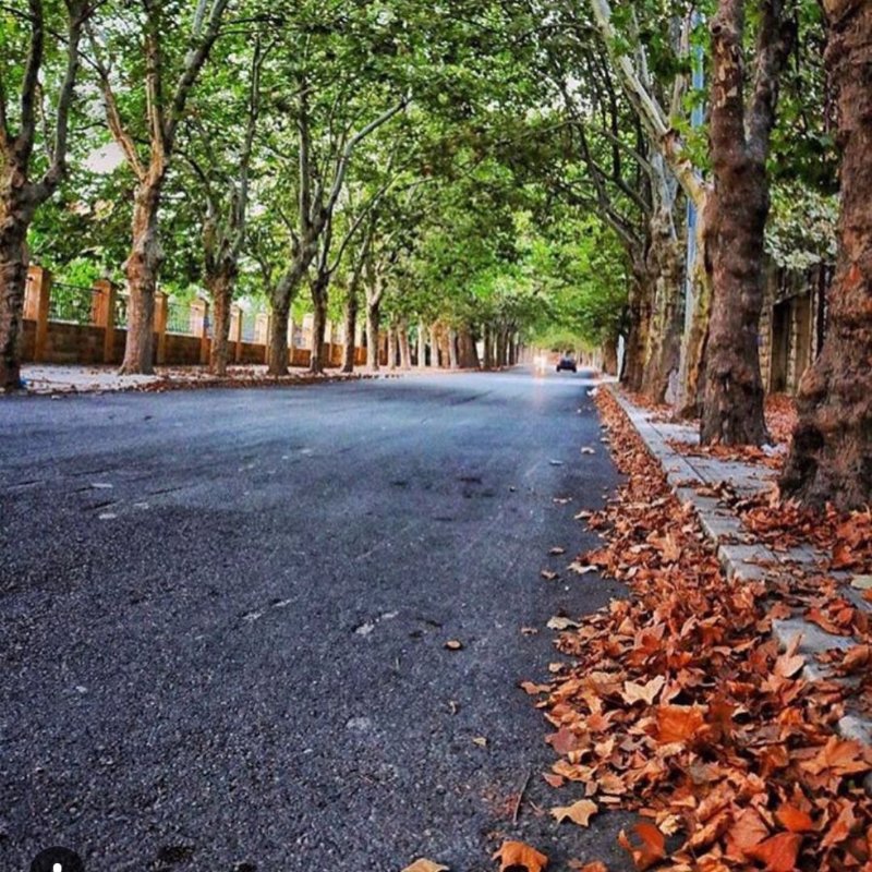 Sawfar in autumn