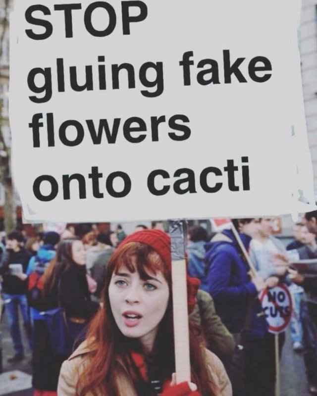 meme flowers fake.jpg