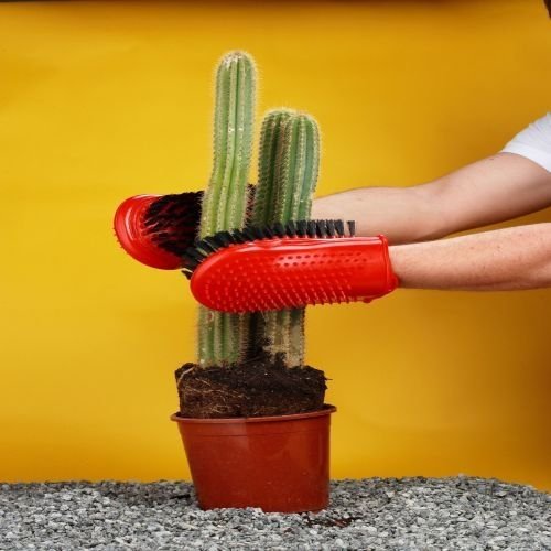 cacti-gloves.jpg