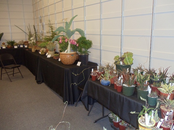 Show table to the left.