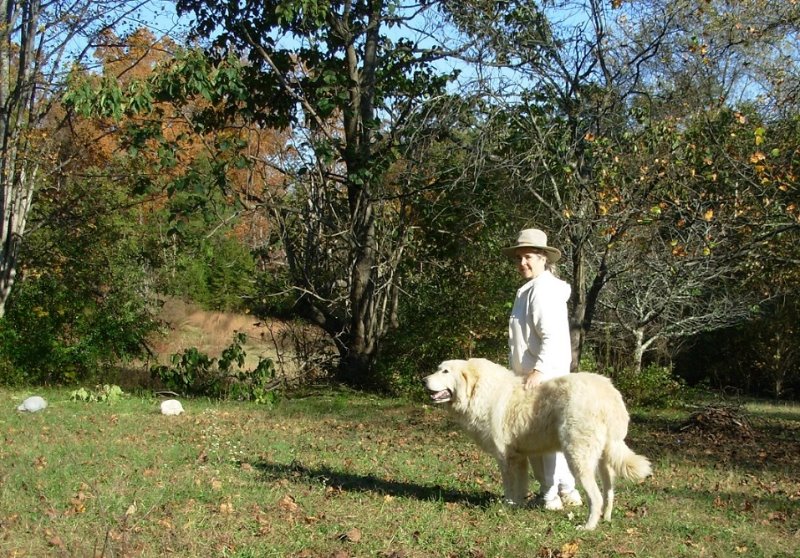 Guinea watching with Simon.jpg