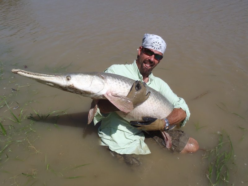 Me, posing with an Alligator Gar, about to be released. This was a medium sized one.