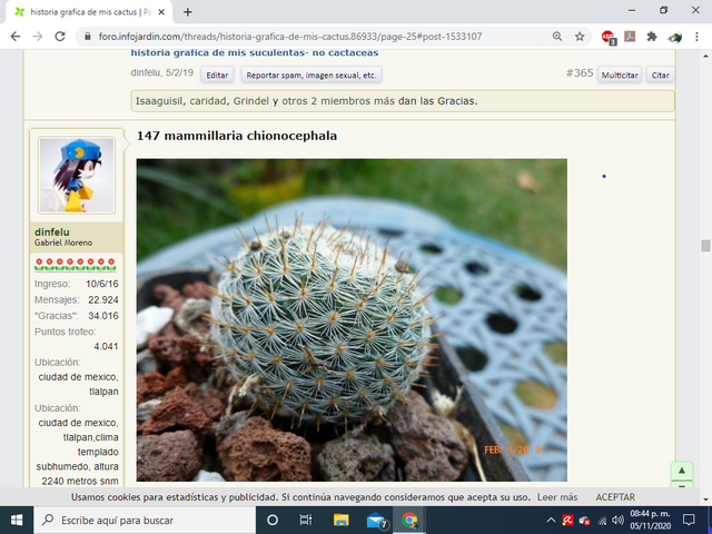 mammillaria (Copiar).png