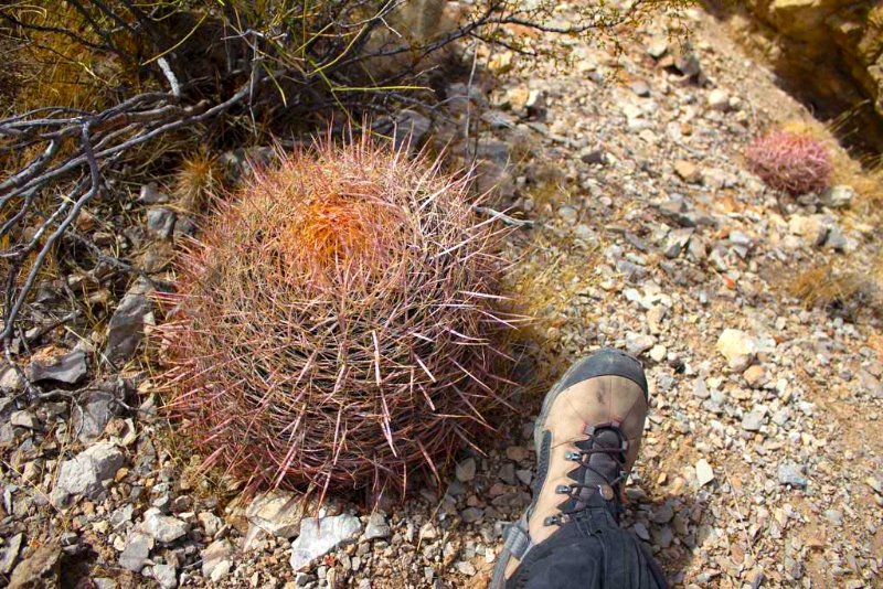 size 11...45 boot for scale