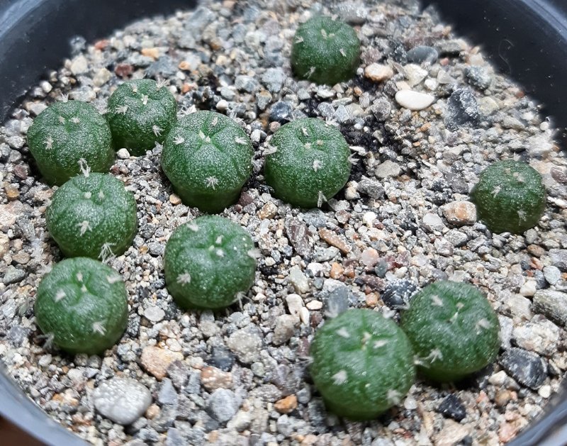 A group shot with some badly washed gravel.