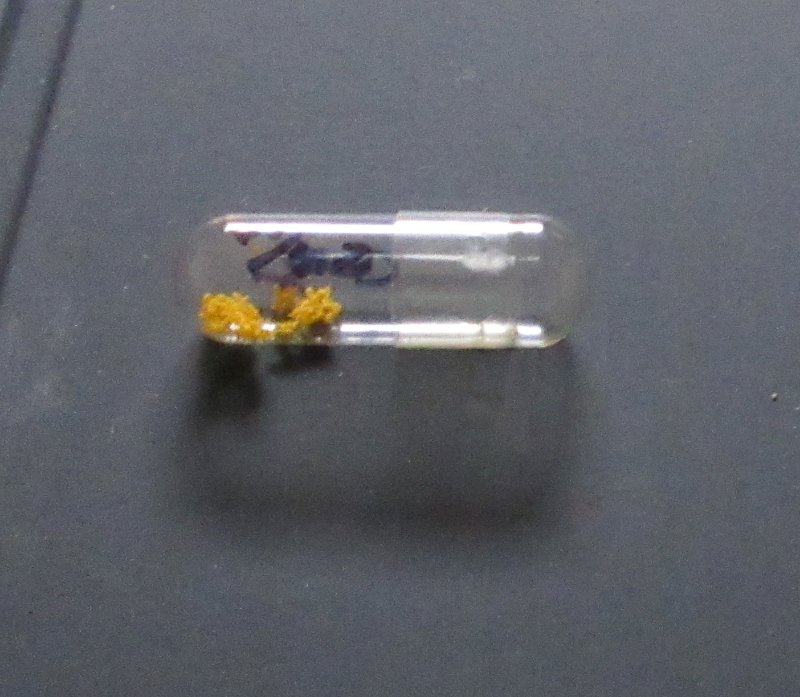 Pollen of Onzuka in a capsule