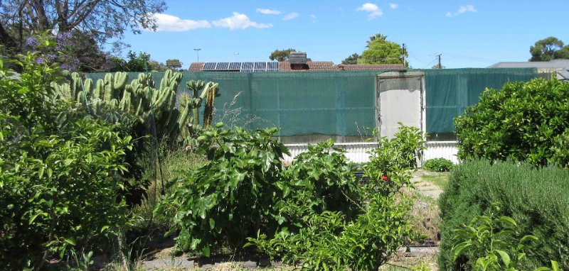 Large greenhouse