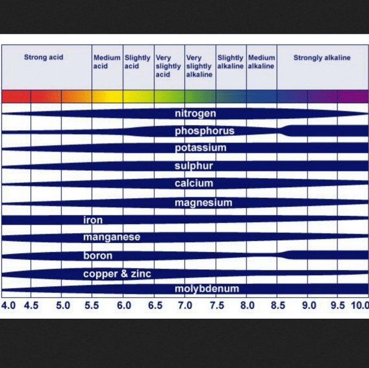 pH Chart