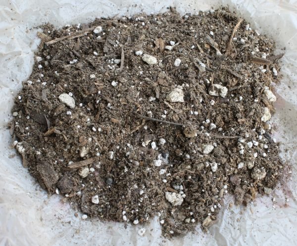 CCC_soil_sample.JPG