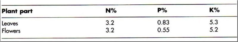 NPK_chart.JPG