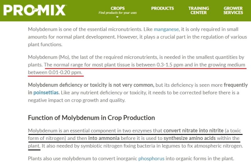 Molybdenum.jpg