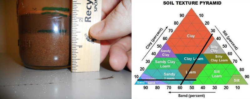 Clemson_University_soil_analysis.jpg
