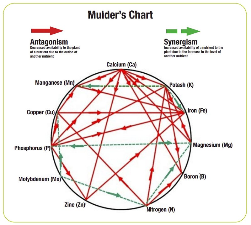 Mulders_chart.jpg