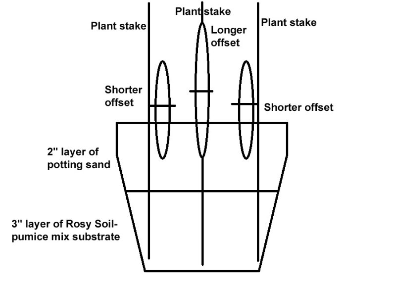 Rooting_pot01.jpg