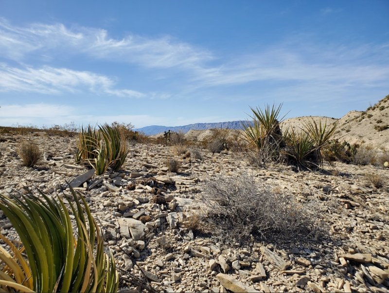 Big bend Texas