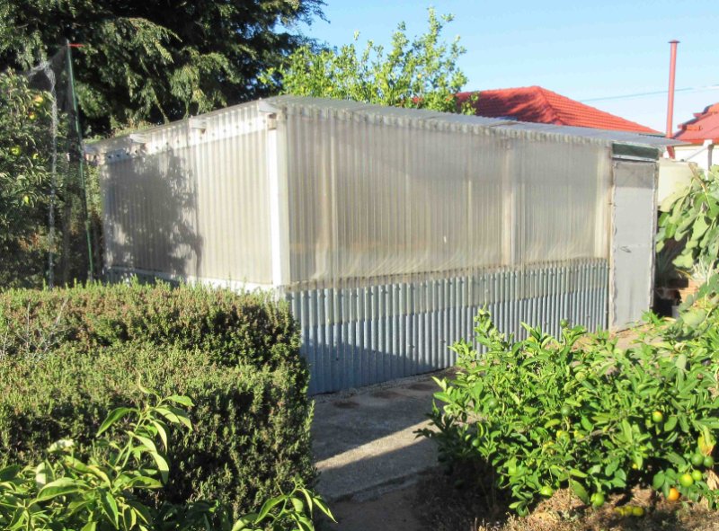 Small greenhouse