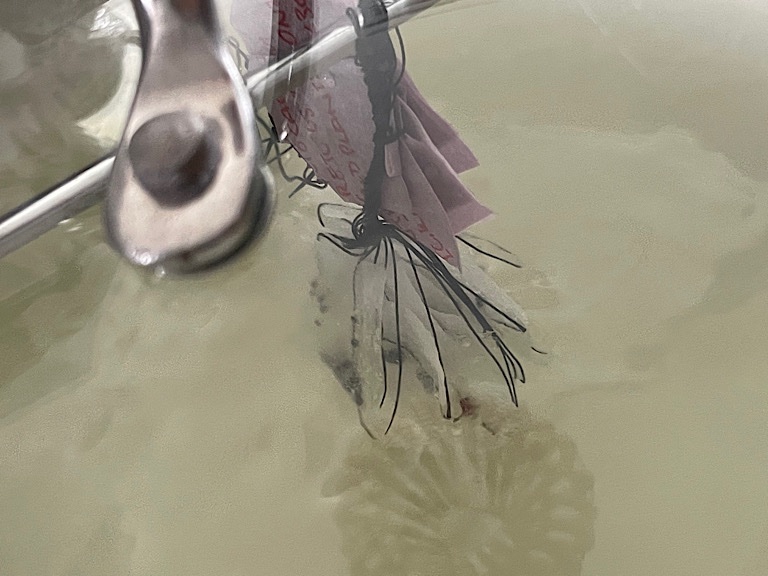 Mesh bags with seeds suspended over a bowl of swirling water