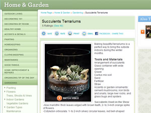 martha stewart terrarium