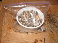 cactus seed baggie method