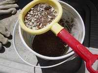 sifting cactus soil