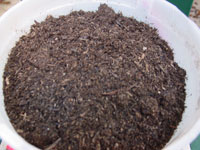 cactus potting soil