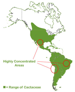 cactus habitat range