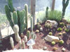 cacti garden san clemente