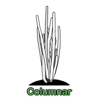 Columnar