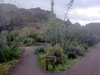 boyce thompson arboretum picture